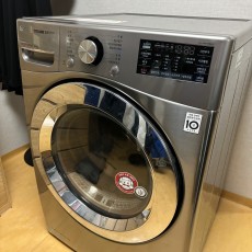 LG 트롬 16kg 건조기